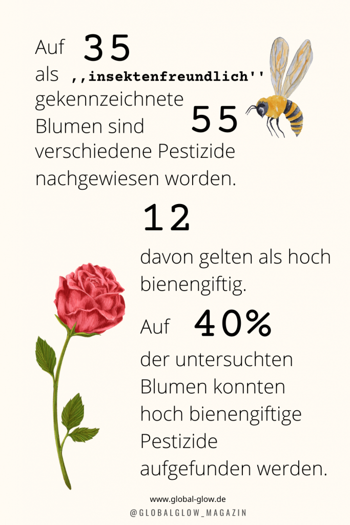 Die Infografik zeigt, dass auf 40% der als ,,insektenfreundliche'' ausgepriesenen  Blumen hoch bienengiftige Pestizide aufgefunden worden sind.