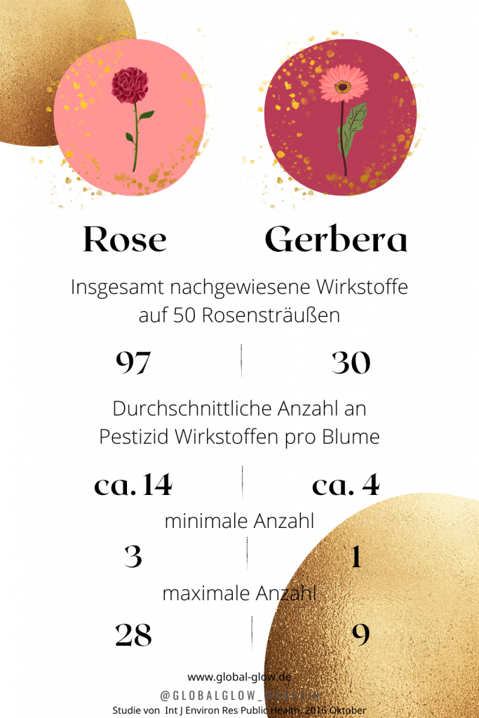Die Infografik zeigt, dass auf 50 Rosensträußen 97 Pestizide nachgewiesen worden sind. Durchschnittlich sind das etwa 14 Pestizide pro Strauß. Mindestens 3 und Höchstens 28.